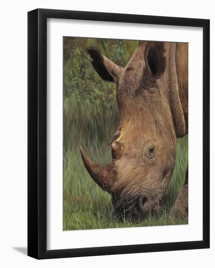 Rhino and Oxpecker Bird-David Stribbling-Framed Premium Giclee Print