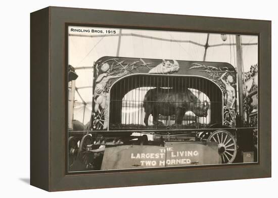 Rhino in Circus Wagon, 1915-null-Framed Stretched Canvas