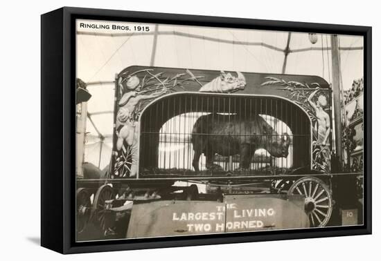 Rhino in Circus Wagon, 1915-null-Framed Stretched Canvas