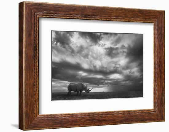 Rhino Land-Mario Moreno-Framed Photographic Print