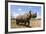 Rhino, Lewa Wildlife Conservancy, Laikipia, Kenya, East Africa, Africa-Ann and Steve Toon-Framed Photographic Print