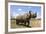 Rhino, Lewa Wildlife Conservancy, Laikipia, Kenya, East Africa, Africa-Ann and Steve Toon-Framed Photographic Print