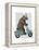 Rhino on Moped-Fab Funky-Framed Stretched Canvas