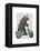 Rhino on Moped-Fab Funky-Framed Stretched Canvas