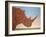 Rhino-Shape-James W. Johnson-Framed Giclee Print