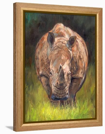 Rhino straight on-David Stribbling-Framed Stretched Canvas