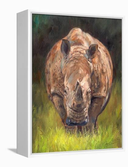 Rhino straight on-David Stribbling-Framed Stretched Canvas