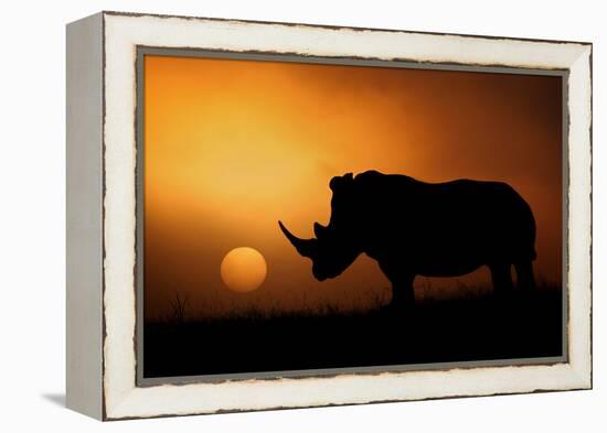 Rhino Sunrise-Mario Moreno-Framed Premier Image Canvas