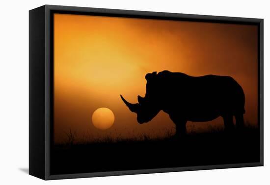 Rhino Sunrise-Mario Moreno-Framed Premier Image Canvas