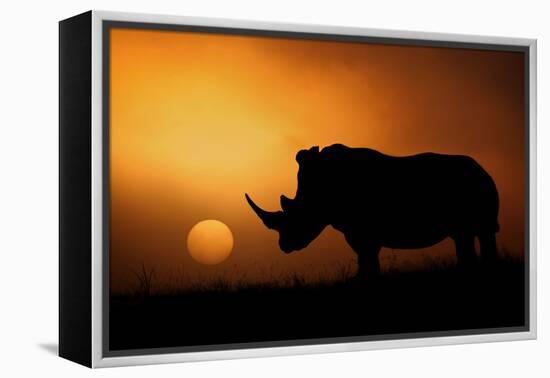 Rhino Sunrise-Mario Moreno-Framed Premier Image Canvas