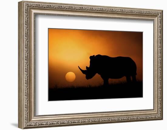 Rhino Sunrise-Mario Moreno-Framed Photographic Print