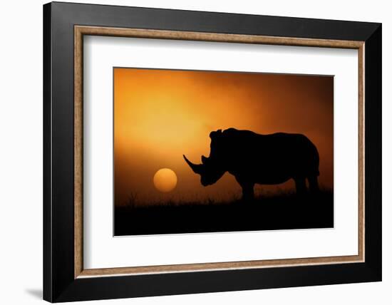 Rhino Sunrise-Mario Moreno-Framed Photographic Print