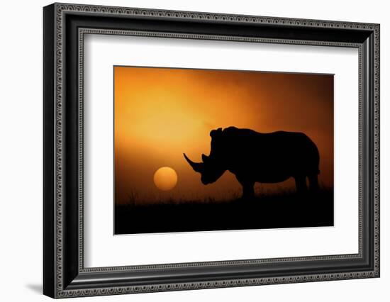 Rhino Sunrise-Mario Moreno-Framed Photographic Print