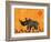 Rhino with Summer Sky-Casey Craig-Framed Art Print