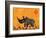 Rhino with Summer Sky-Casey Craig-Framed Art Print