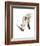 Rhino-Philippe Debongnie-Framed Art Print