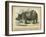 Rhino-null-Framed Art Print