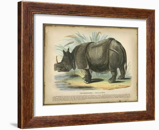 Rhino-null-Framed Art Print