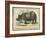 Rhino-null-Framed Art Print