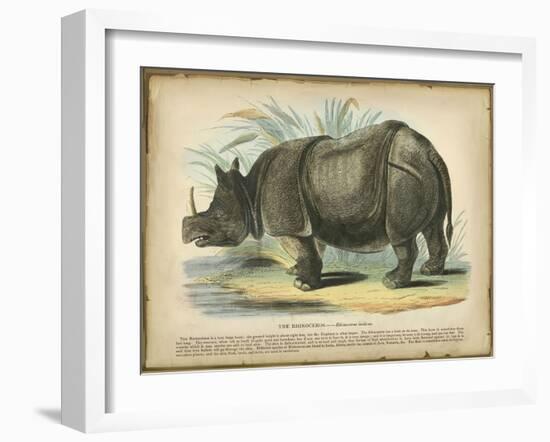 Rhino-null-Framed Art Print