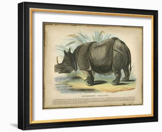 Rhino-null-Framed Art Print