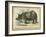 Rhino-null-Framed Art Print