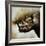 Rhino-Sydney Edmunds-Framed Giclee Print