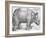 Rhinoceros, 1515-Albrecht Durer-Framed Art Print