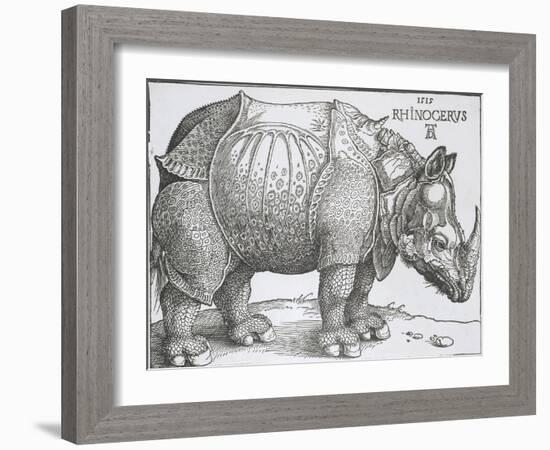 Rhinoceros, 1515-Albrecht Durer-Framed Art Print