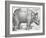 Rhinoceros, 1515-Albrecht Durer-Framed Art Print