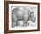 Rhinoceros, 1515-Albrecht Durer-Framed Art Print