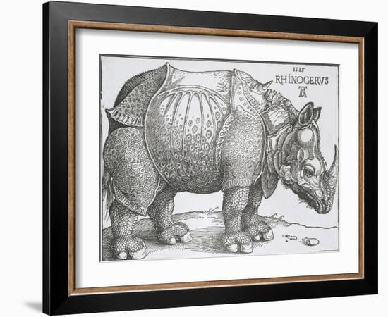 Rhinoceros, 1515-Albrecht Durer-Framed Art Print