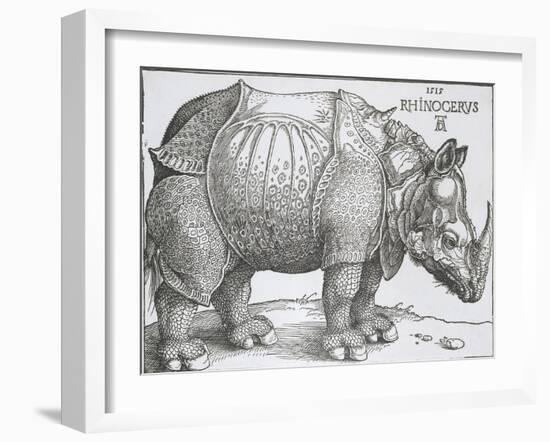 Rhinoceros, 1515-Albrecht Durer-Framed Art Print