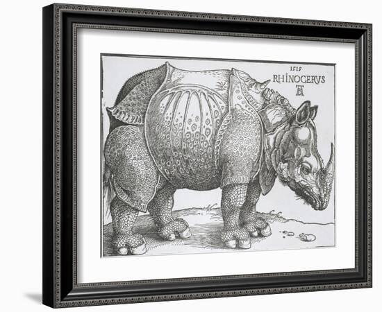 Rhinoceros, 1515-Albrecht Durer-Framed Art Print