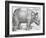 Rhinoceros, 1515-Albrecht Durer-Framed Art Print