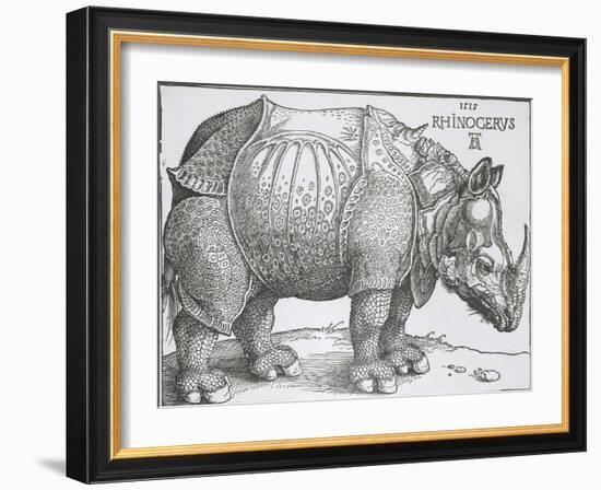 Rhinoceros, 1515-Albrecht Durer-Framed Art Print