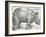 Rhinoceros, 1515-Albrecht Durer-Framed Art Print