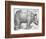 Rhinoceros, 1515-Albrecht Durer-Framed Premium Giclee Print