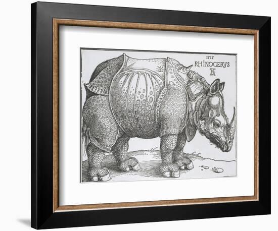 Rhinoceros, 1515-Albrecht Durer-Framed Premium Giclee Print