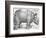 Rhinoceros, 1515-Albrecht Durer-Framed Premium Giclee Print