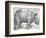 Rhinoceros, 1515-Albrecht Durer-Framed Premium Giclee Print