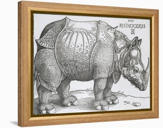 Rhinoceros, 1515-Albrecht Durer-Framed Stretched Canvas