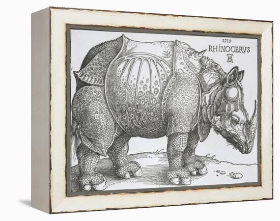 Rhinoceros, 1515-Albrecht Durer-Framed Stretched Canvas