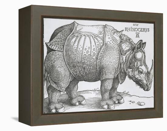 Rhinoceros, 1515-Albrecht Durer-Framed Stretched Canvas