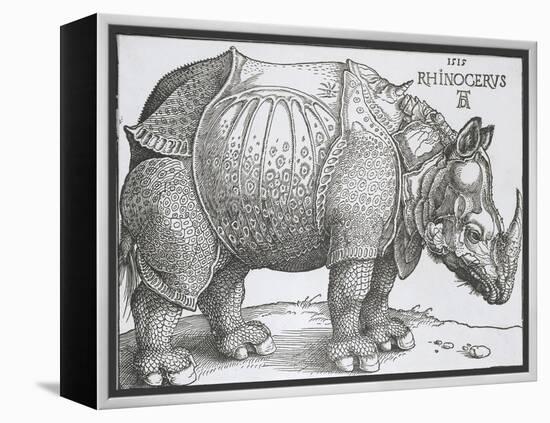 Rhinoceros, 1515-Albrecht Durer-Framed Stretched Canvas
