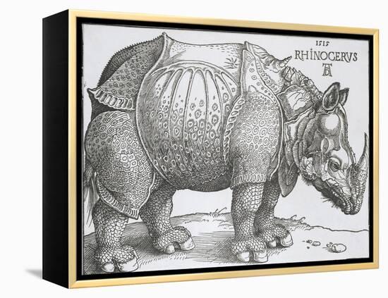 Rhinoceros, 1515-Albrecht Durer-Framed Stretched Canvas