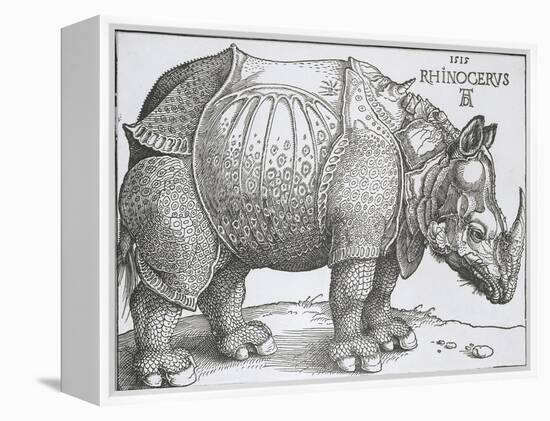 Rhinoceros, 1515-Albrecht Durer-Framed Stretched Canvas