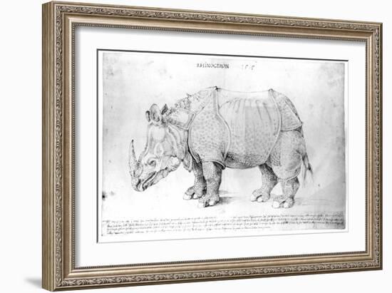 Rhinoceros, 1515-Albrecht Dürer-Framed Giclee Print