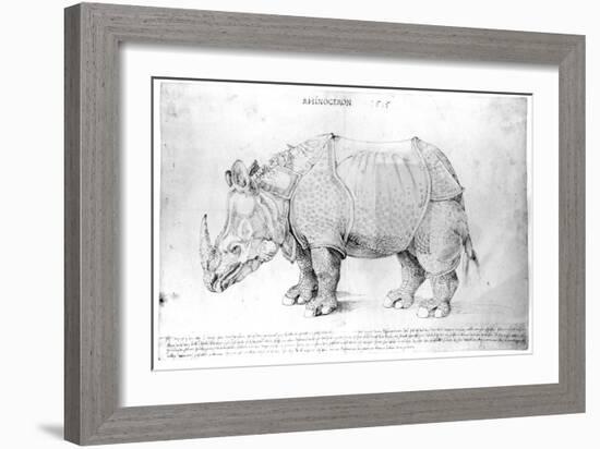 Rhinoceros, 1515-Albrecht Dürer-Framed Giclee Print