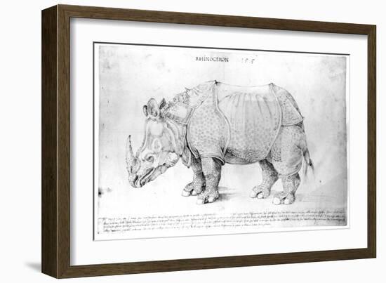 Rhinoceros, 1515-Albrecht Dürer-Framed Giclee Print